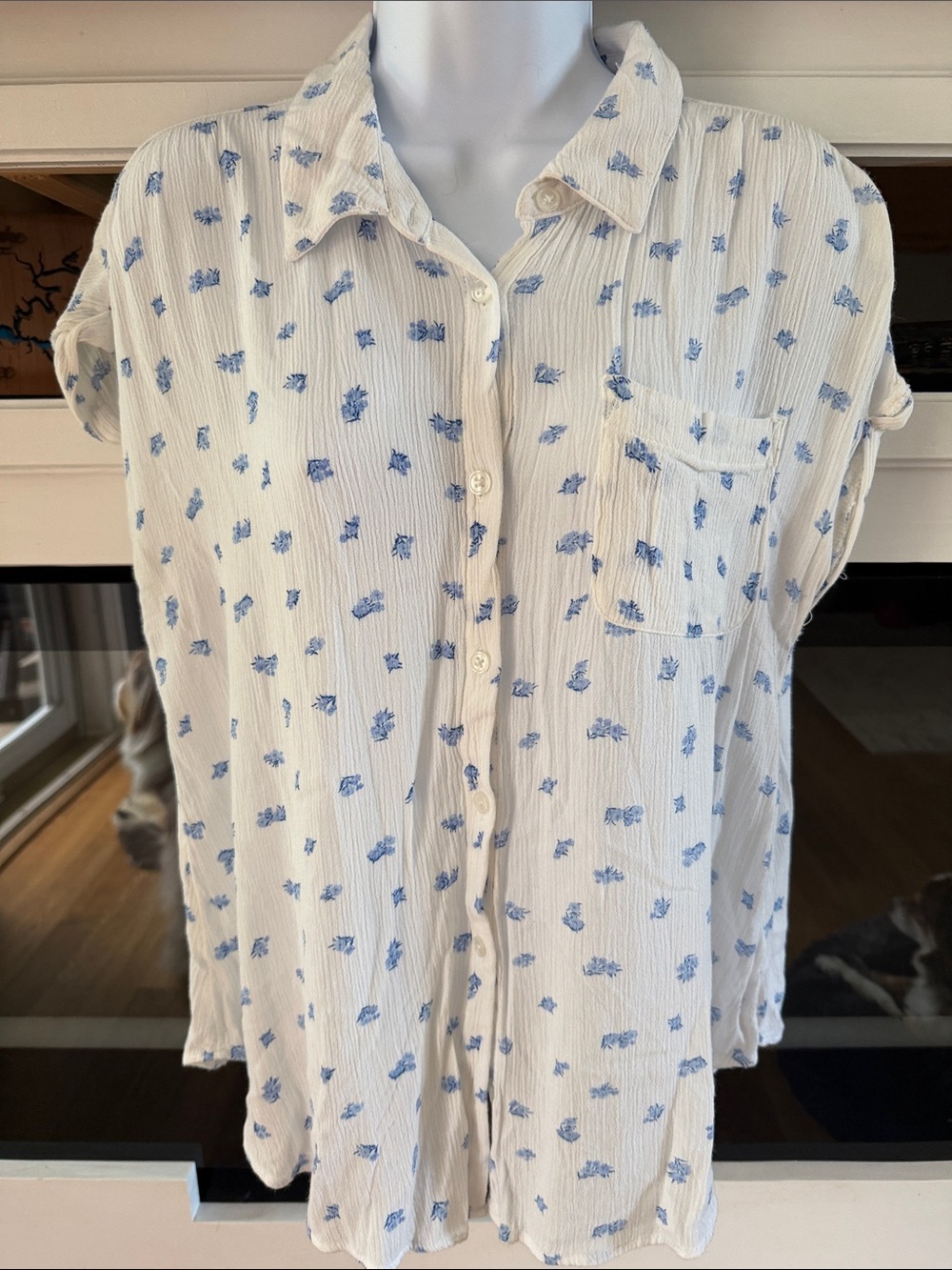 Olive & Oak Cream Button-Up Blouse with Light Blue Floral Print